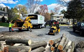 Best Arborist Consultation Services  in Munhall, PA